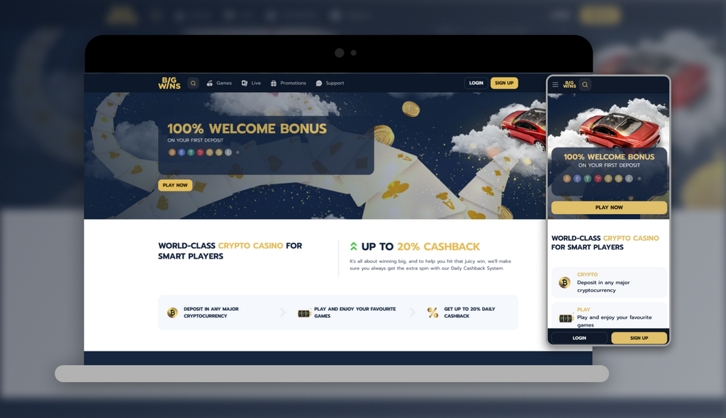 Big Wins Online Casino Review Big Wins Online Casino Review