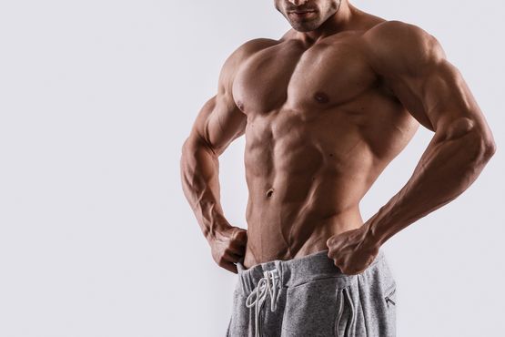Synthol: Efectos y Riesgos Asociados Synthol: Efectos y Riesgos Asociados